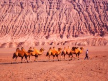 La Montaña de la Llama