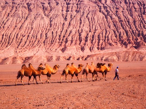 La Montaña de la Llama