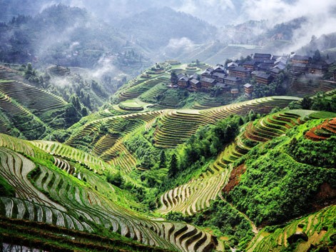 Terrazas de arroz de Longji
	