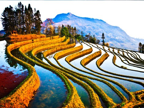 Terrazas de Yuanyang