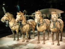 Museo de Guerreros de Terracota y Caballos