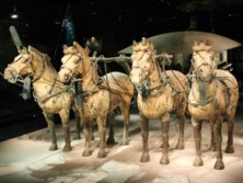 Museo de Guerreros de Terracota y Caballos