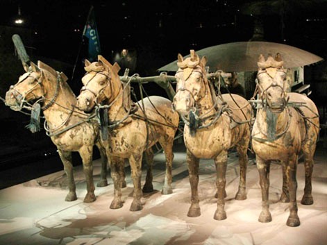 Museo de Guerreros de Terracota y Caballos
	