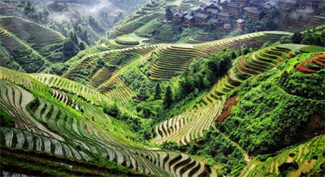 Terraza de Arroz en Longsheng