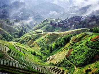 Terraza de Arroz en Longsheng