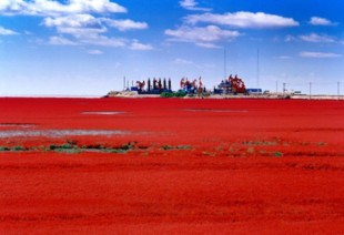 Tour de la Playa Roja a la Ruta de la Seda