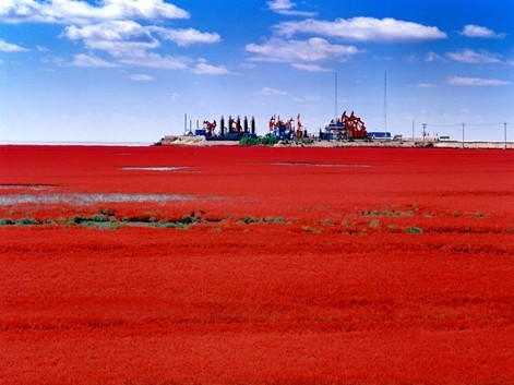 Tour de la Playa Roja a la Ruta de la Seda
	